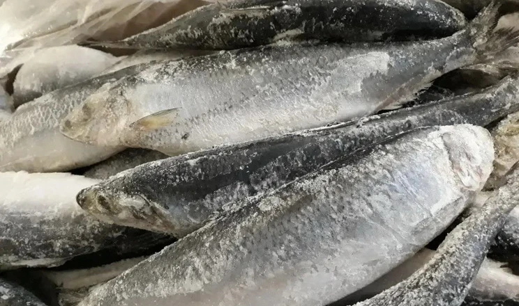 Ціни на рибу: морожена продукція подорожчала на 30%